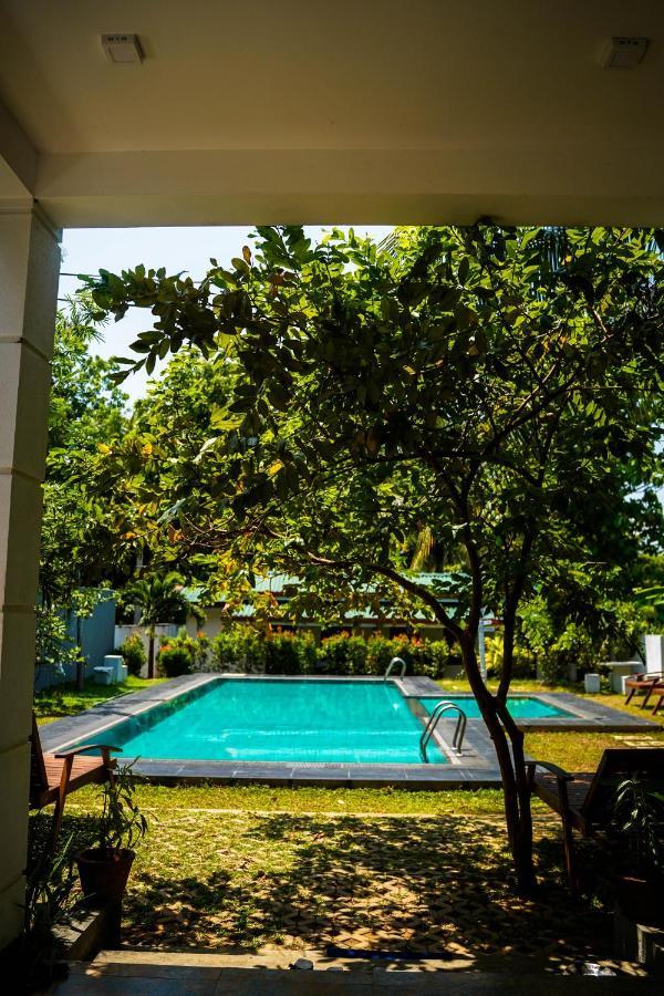 Sigiri Sierra View Resort Szigirija Kültér fotó