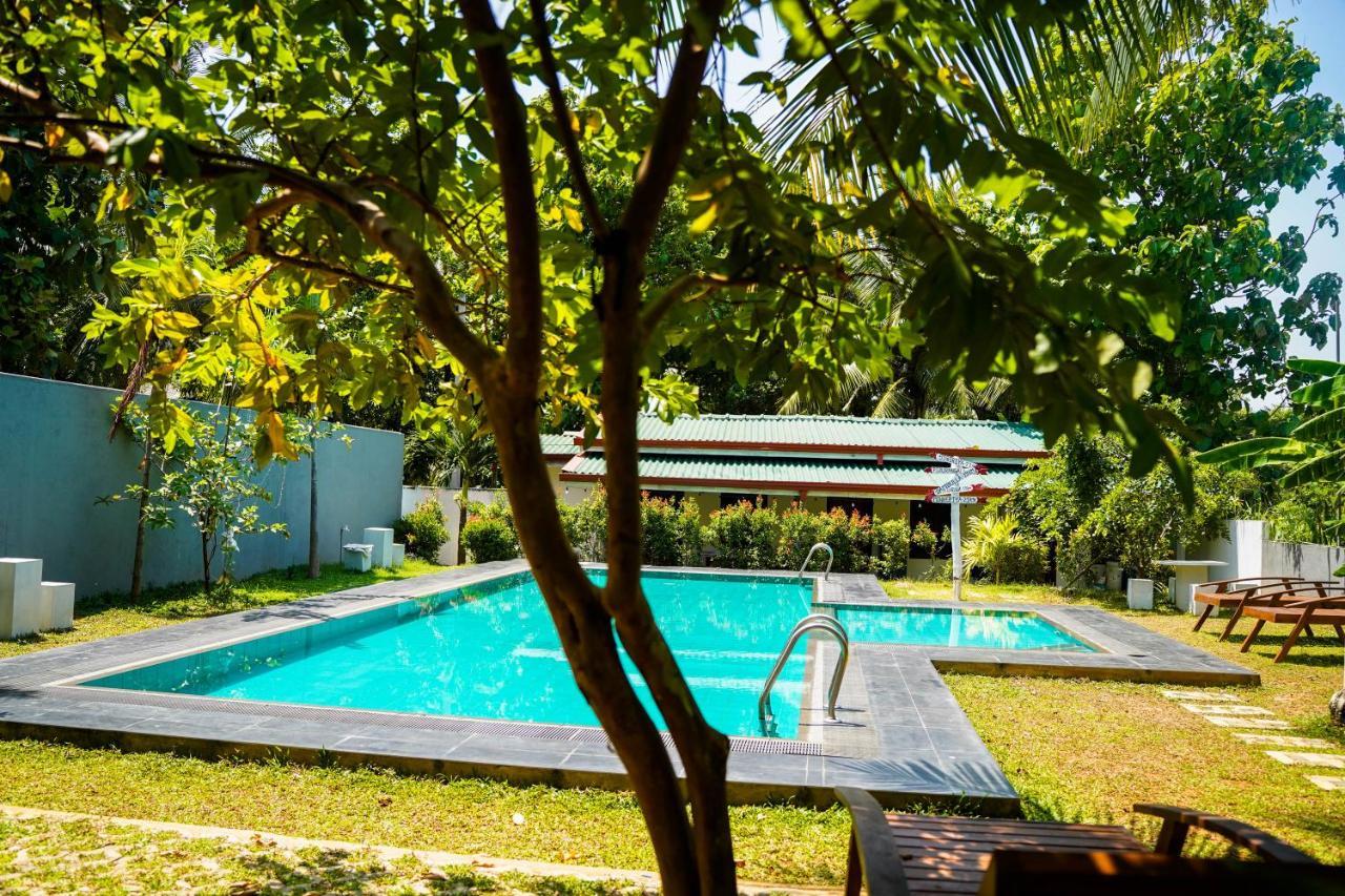 Sigiri Sierra View Resort Szigirija Kültér fotó